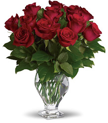 T65-2A  Rose Classique 